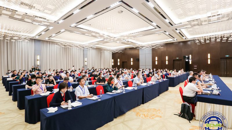 化学助剂代理厂家排名，如何规避潜在风险？**