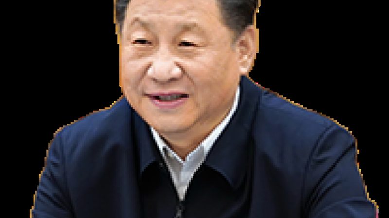 化学助剂代理加盟，合同模板全解析**